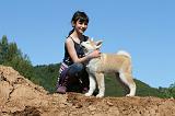 ENFANT ET CHIEN 448